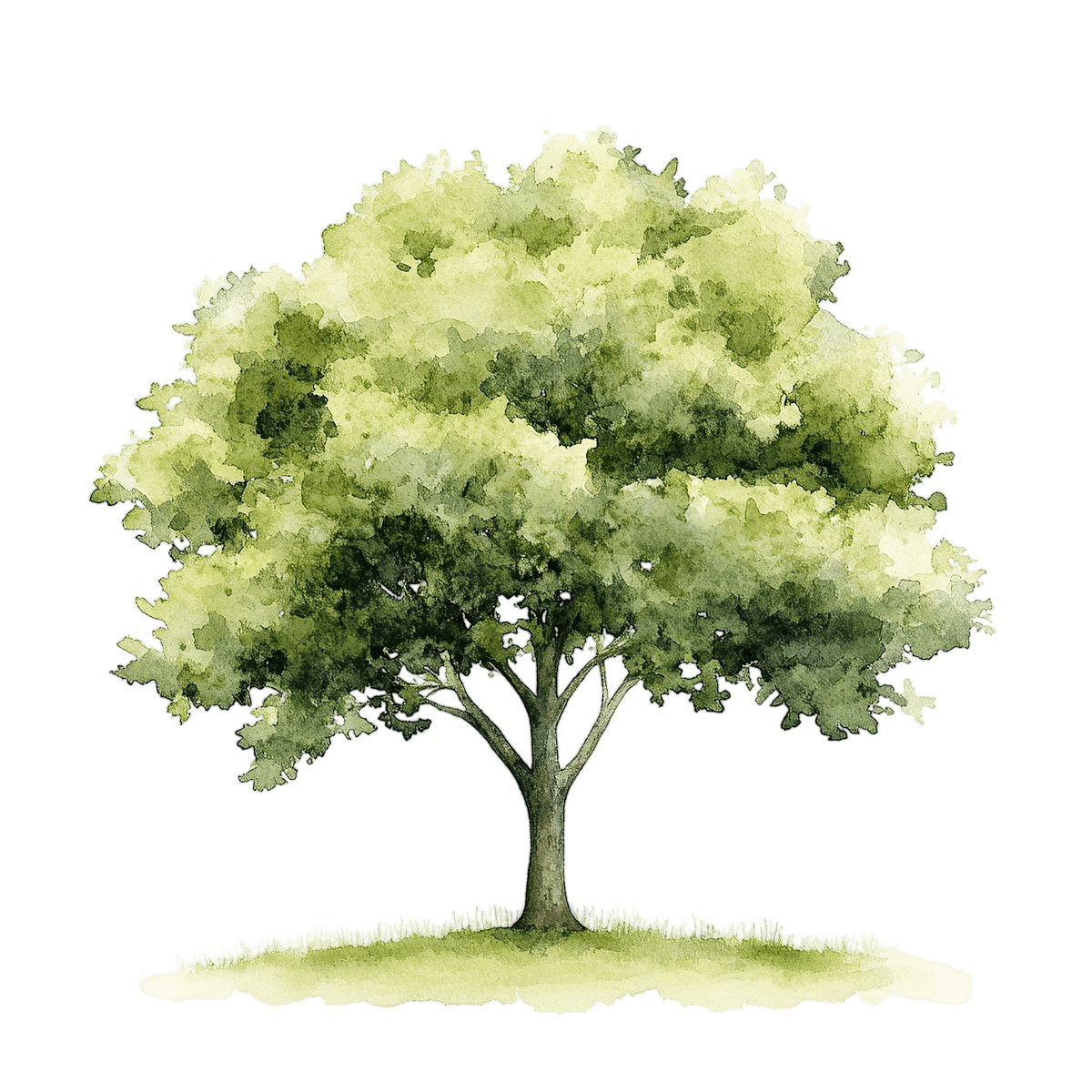 Watercolor Tree